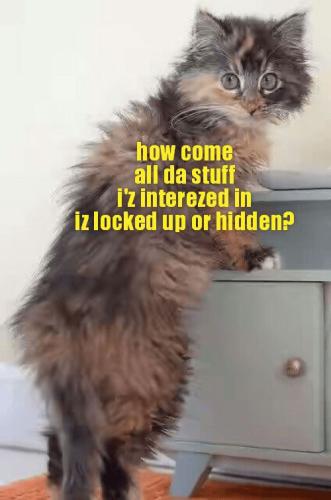 5a6abd3cbc3b85746b4757afe50f9a7f