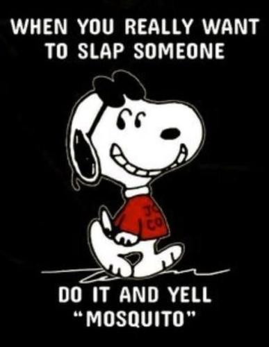 7f2eb28126e3f018686b15d83237abb5