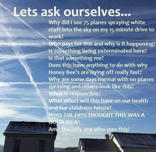 FB_IMG_1707842025788