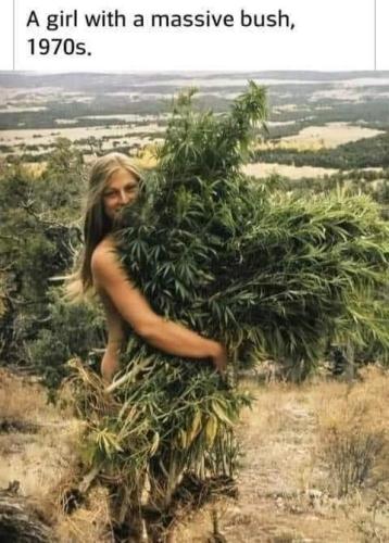 FB_IMG_1712372005485