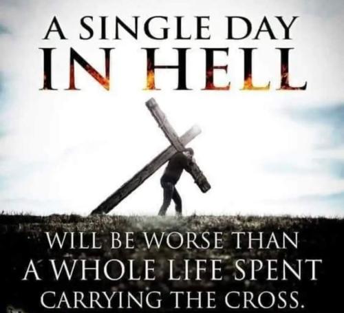 86a55fa8-2bc5-476e-b02a-53f5a7c22a78