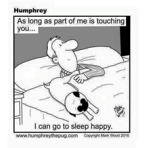 7509dffc6854420faeef522566375e0c