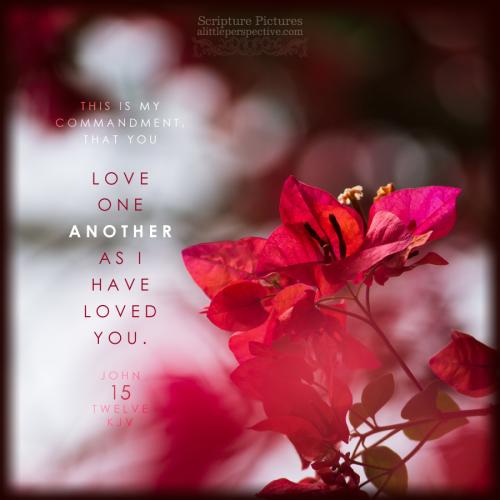 FAITH - John 15.12 KJV