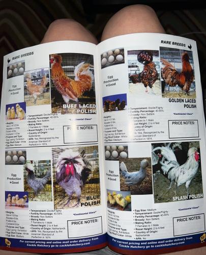 DED37B5C-927E-4D58-8711-D0A24456F006