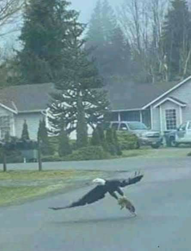 Screenshot_2024-04-26-19-15-40_kindlephoto-613678183