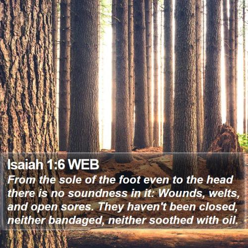 Isaiah 1_6