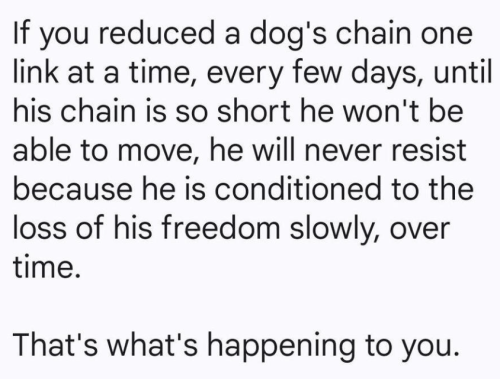 Screenshot 2024-04-22 172459