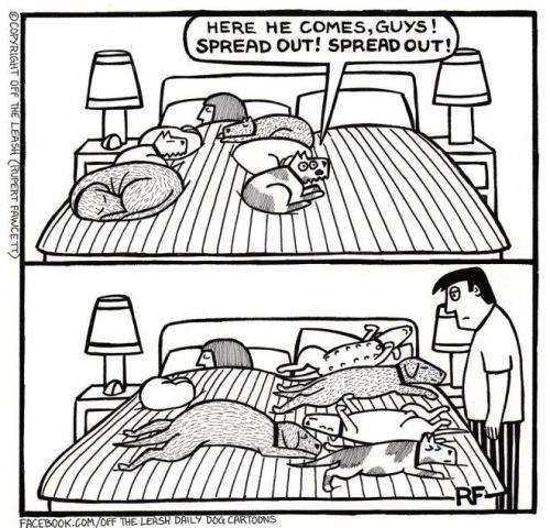 343b2bb573408802f225a56e7809a42c