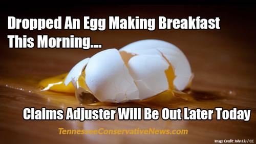 Dropped-an-Egg...