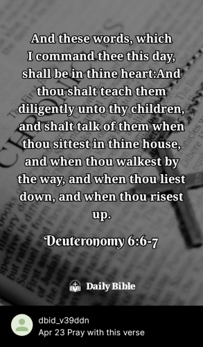 2024-04-231713908045997