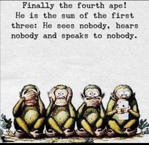 Screenshot_2024-04-22-20-28-20_kindlephoto-330911957