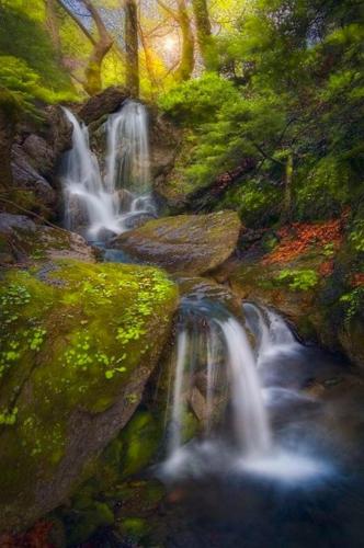 img-e1755935
