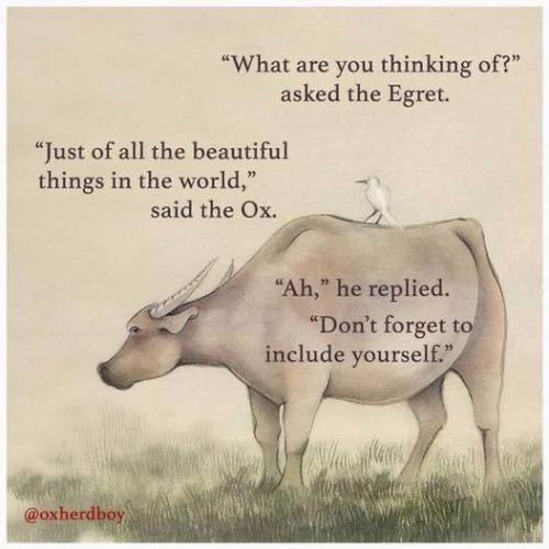 437909372_10161623417228701_8073105327211687193_n