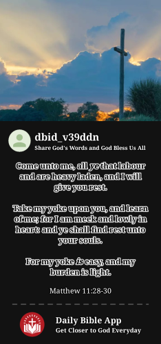 2024-04-241714013545354