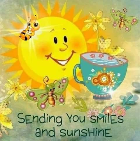 438721082_852708666885043_1866027775040491896_n