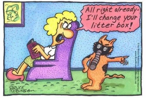 436224918_818716363614772_3303281370442856110_n