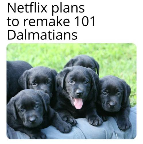 netflix 101 dalmations