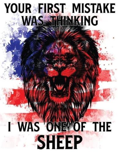 49a1cf3330e82cc04f6a8e999787bf99