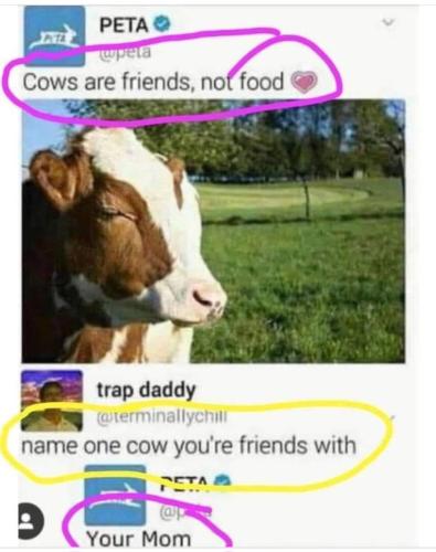 photo_2024-03-31_20-20-38