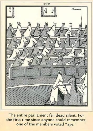 FB_IMG_1711911311855