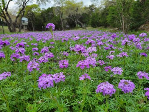 759fb22a-f21a-48b7-8778-b2b93c0aada6