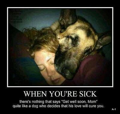 638be80985ac7525f78c49bcf973542b