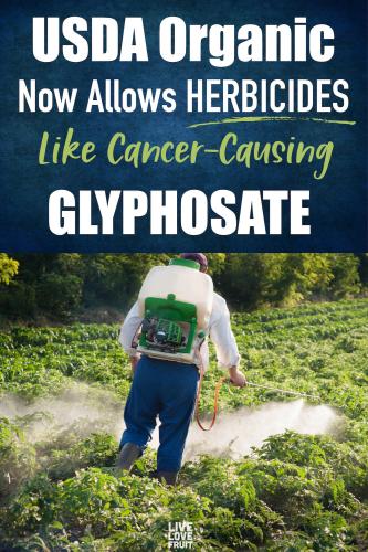 USDA orgainc allows glyphosate