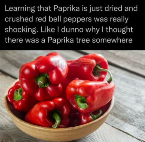 Screenshot_2024-04-19-17-38-00_kindlephoto-117607129