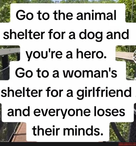 3e5e81ee1513882298a0d3a9b2af8dbecd4423c420991173d1126d3dccfdc637_1