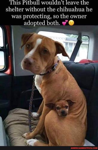 33dab9b630f1fb6530b572c539909c893ac1059286a18d10cb11f97c23bc8568_1