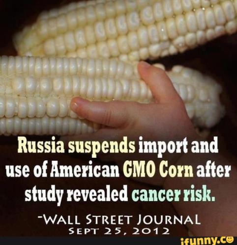 3fa77d05ab7843eb2cc596d307b7cd4f4f2cae4980b0ecb620d5969cc4395dd8_1