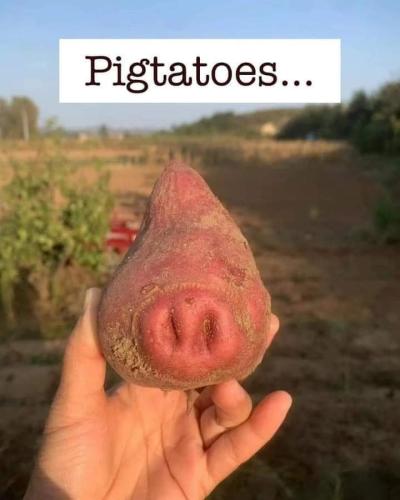 FB_IMG_1713904974813