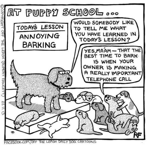 4ed685dc3c1225d0b6e6e5e8f54deb20