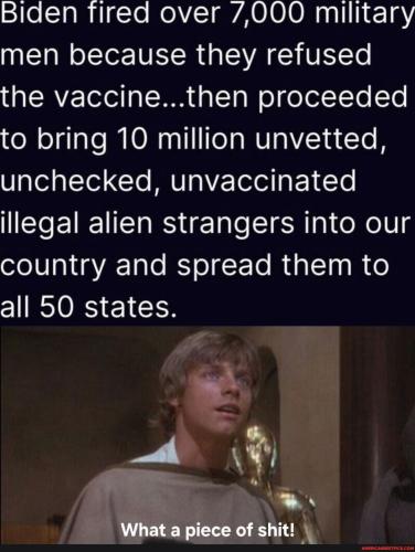 a1063cbcfdfa55135dfa0393cccc800c409ac730377c895f725ebc695a8198b6_1