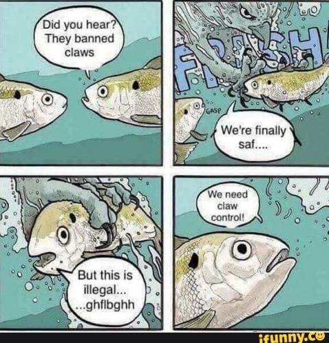 1f7ea9ea4886688fe1e577b0383572fee679b6299552caa7e667d6f4ab7d32b6_1