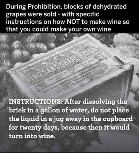 437056259_7814047481940267_3928391559240325140_n