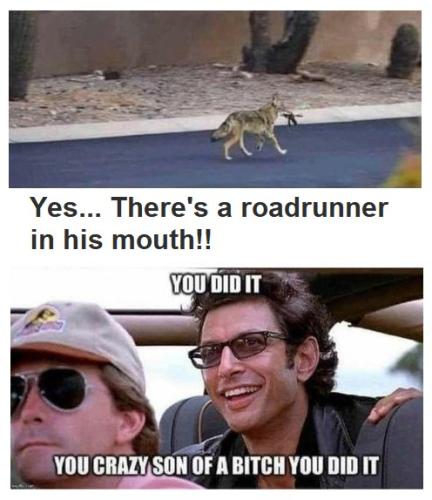 427812390_10225233017996510_4081447292925028634_n