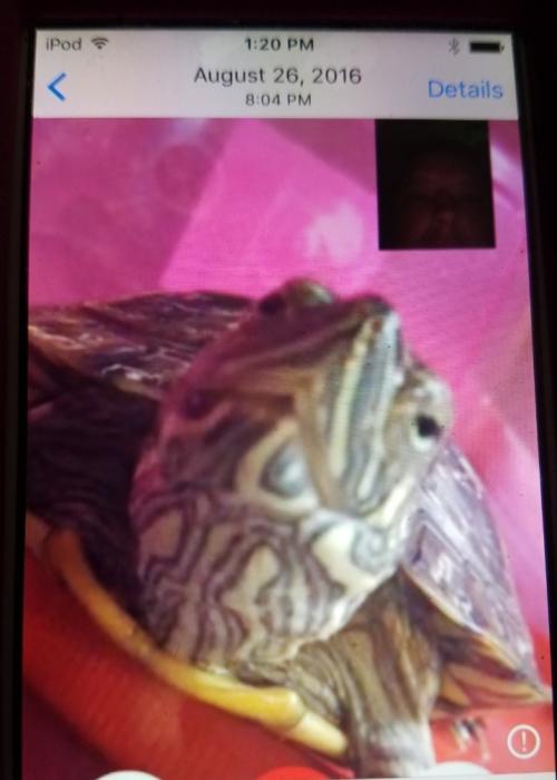 Screenshot_20240302_203920_Gallery