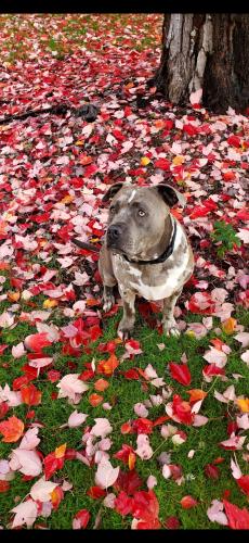 Screenshot_20240403_041654_Photos