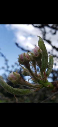 Screenshot_20240407_074314_Photos