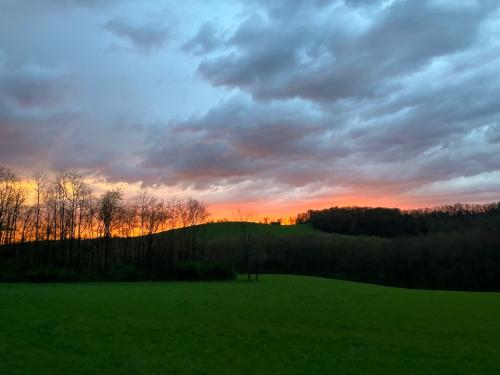 F7A82911-8DBF-4E1B-B129-BF194D5B6B97