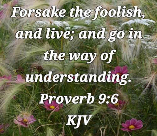 03:15:56 GMT-0700 (PDT)