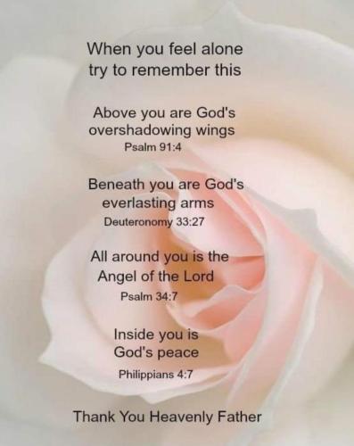 46fe4491-57d7-48f8-9e96-d31d43aaa82d