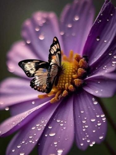 img-b753fd68