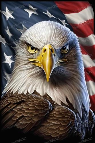 American Eagle Flag