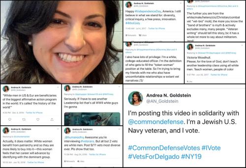 AN_Goldstein.Andrea_N_Goldstein.n.1