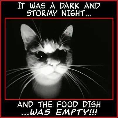 222c25428884f54b6eea1efe5d2588ef