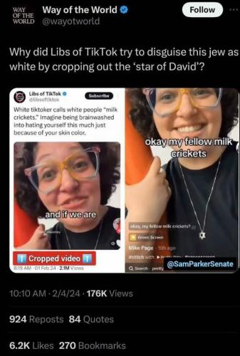 libs of tik tok