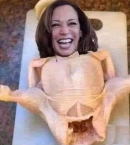 FB_IMG_1713352146378