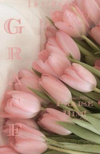 img-eff4abf5